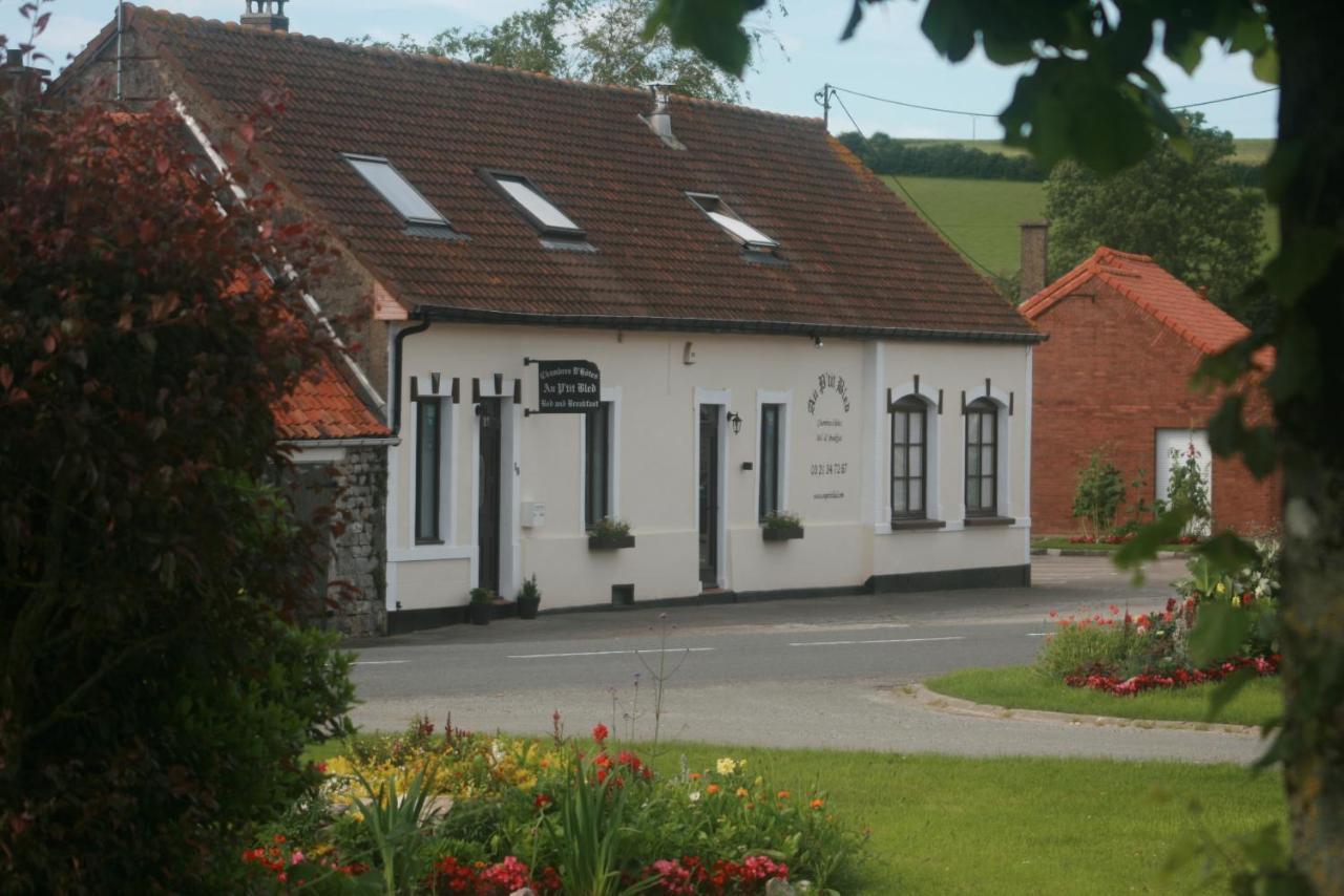 Au Petit Bled Bed & Breakfast Hermelinghen Exterior photo